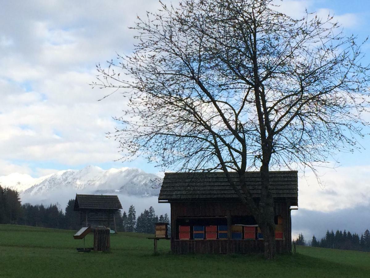 Ferienwohnung Lassendorf Hermagor-Pressegger See Zewnętrze zdjęcie